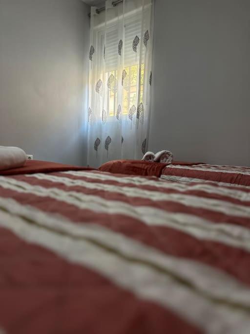 Apartamento Turistico O.N Renfe Cordova Esterno foto